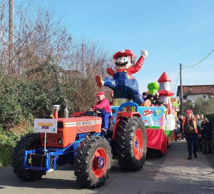 Carnevale sarzanese foto archivio